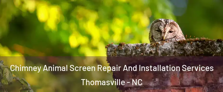  Chimney Animal Screen Repair And Installation Services Thomasville - NC