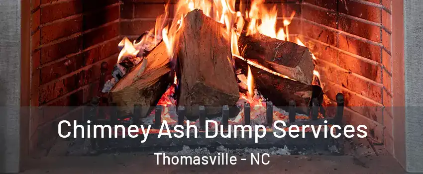  Chimney Ash Dump Services Thomasville - NC