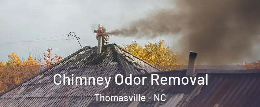  Chimney Odor Removal Thomasville - NC