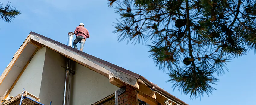 Birds Removal Contractors from Chimney in Thomasville, NC