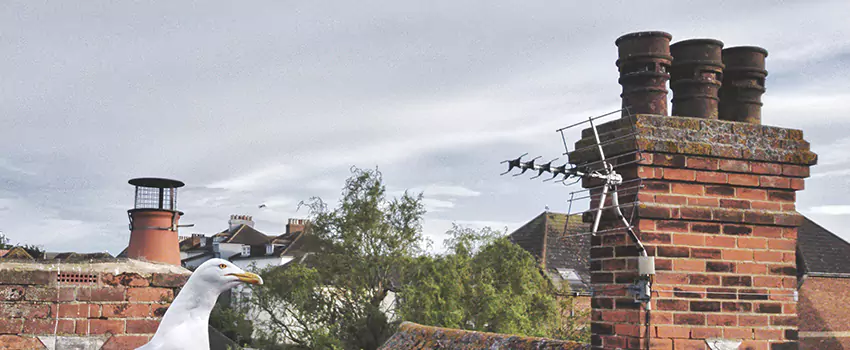 Chimney Cleaning And Restoration in Thomasville, North Carolina