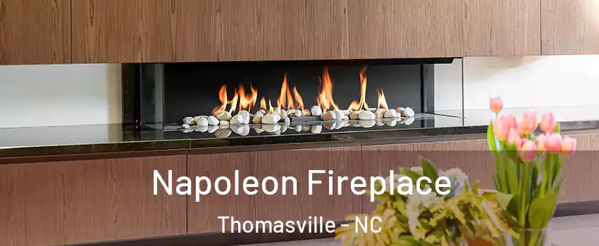 Napoleon Fireplace Thomasville - NC